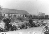 In september 1962 reed de laatste tram van Gorredijk naar Steenwijk. Hier staat deze met bloemen versierde locomotief  met goederenwagons bij het station van Gorredijk.