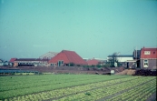 1976 Tuinbouwbedr.vd Schoot