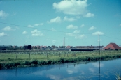 Het voormalig tuinbouwbedrijf van der Schoot