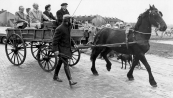 De opening van de O.L.school aan de Hendrik Ringenoldusstrjitte door o.a. burgermeester Hessel Posthuma.