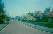 1969