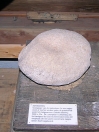 Napjessteen uit ± 3000 v. Chr., de voorganger van de molensteen.