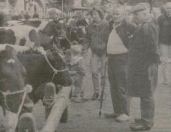 1993, De veehandel op de traditionele Gerdykster Merke trekt zich van het grootschaligheidsstreven niets aan. Met veertig koeien, twintig pinken en veertien schapen op de markt bleek een levendige en gezellige handel mogelijk. Vorig jaar was het aanbod van dieren navenant. Volgens marktmeester Tjeerd Popkema heeft een flink aantal mensen een ronde over de markt gedaan. It wie geskikt waar foar de merke.