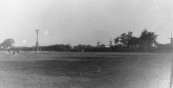 Het ooievaarsnest op het weiland in de hoek Posthumaleantsje - Hegedyk. Er zijn op deze foto 3 molens te zien, vanaf links de schorsmolen van Nauta, de houtzager van Posthuma en de korenmolen van van der Molen.