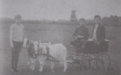 In de verte de molen De Hoop, voor de villa van Otter gebouwd werd. Deze foto is dan ook omstreeks 1892 gemaakt. In de bokkenwagen Tjeerd Wieberdink (links) en Foppe de Haan. Staande bij de bokken Tjeerdo de Haan.