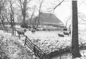 Boerderij in Gorredijk in maart 1985