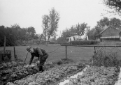 Albert Sinnema, rustend hoofd van de Muloschool te Gorredijk, woonde aan het Weike in Kortezwaag waar hij tot zijn dood bleef rentenieren.