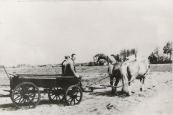 Piet Jongsma met knecht Sabe Hielkema op wagen in het land achter de voormalige voorschotbank. Achtergrond richting Lippenhuizen. 1950. (foto via mevr.A.de Haan - Jongsma.)