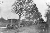Met boerenwagens werd het vee naar de markt vervoerd. De lge wagens werden aan de Hegedyk gestald. Links het huis en de houtzaagmolen van Posthuma aan het noordeinde van de Molenwal. Deze foto werd voor de afbraak van de molen in 1912 gemaakt.