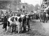 Veemarkt in mei 1986.