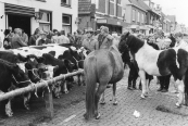 Koeien, pinken , paarden en boeren op de veemarkt in 1985.