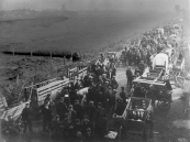 Boeren stalde hun lege wagens aan de Nijewei. Bij een groot aanbod van vee werden hier de varkens, schapen en geiten verhandeld.