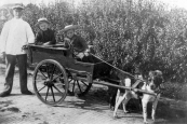 Sint de Jong met zijn zonen Piet en Rykele in de hondekar op de Nijewei. plm.1905