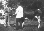 Sikke Dokter (l) en Roelof Hemkes in 1911. Dit was de eerste koe die zij met een schietmasker doodden. Leverancier van de koe was Hans Melles van der Wal in Lippenhuizen.