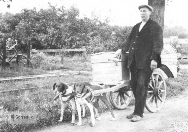 Bakker A. Hellinga