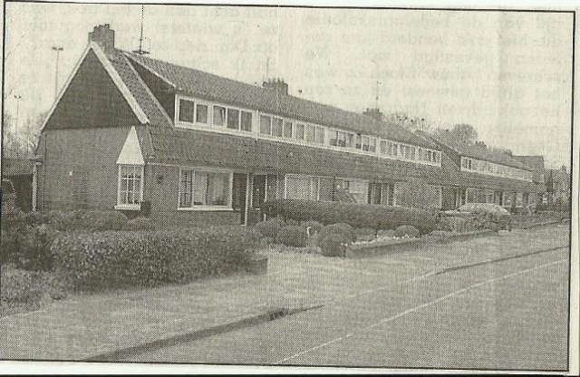 57.jpg